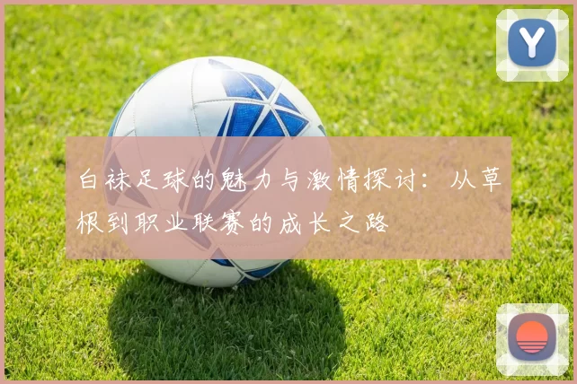 白袜足球的魅力与激情探讨：从草根到职业联赛的成长之路