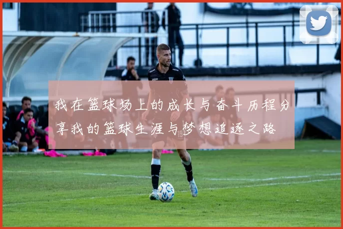 我在篮球场上的成长与奋斗历程分享我的篮球生涯与梦想追逐之路
