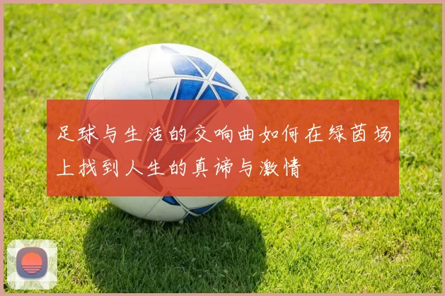 足球与生活的交响曲如何在绿茵场上找到人生的真谛与激情